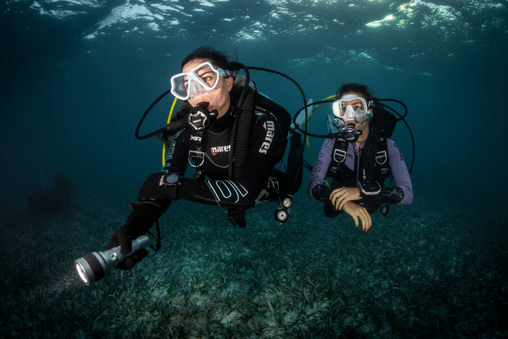 Big Blue Diving Mallorca