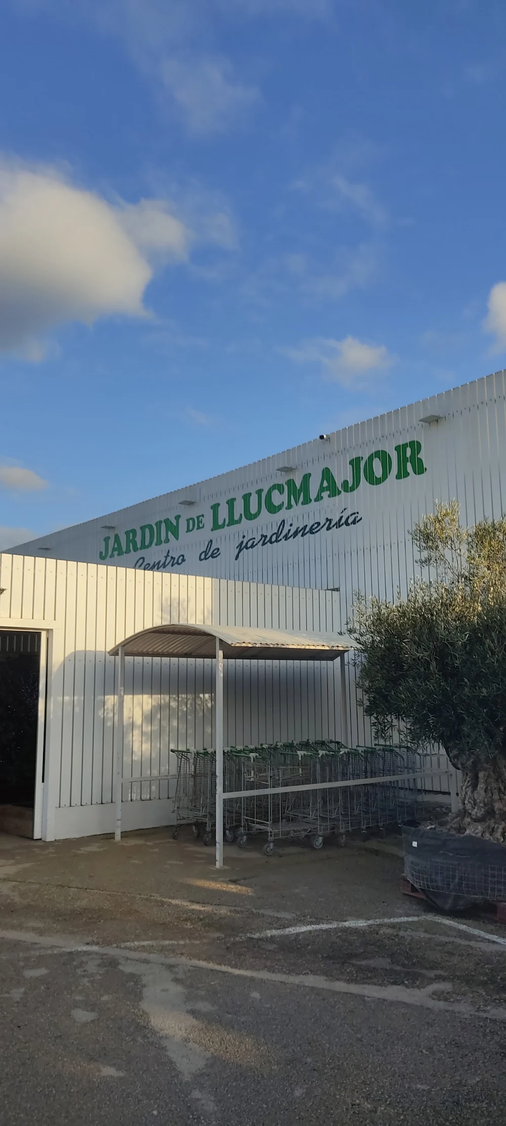 Jardín de Llucmajor SL