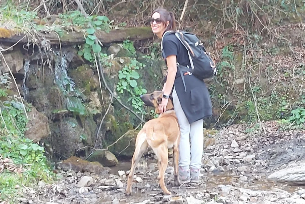 MAXIS K9