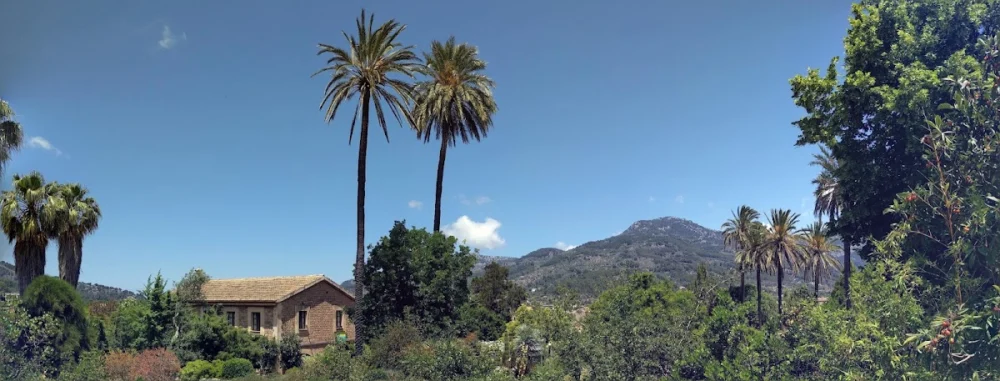 MUCBO | Jardí Botànic